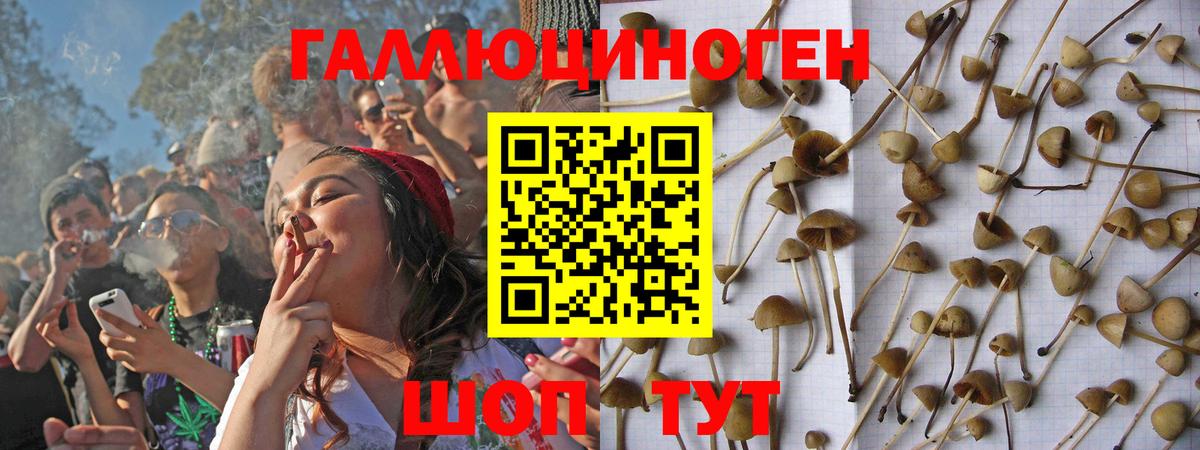 Галлюциногенные грибы GOLDEN TEACHER Чебаркуль