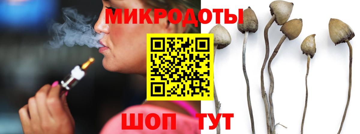 Чебаркуль  Галлюциногенные грибы Psilocybe  Вход с VPN 